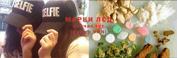 мдпв Гусев