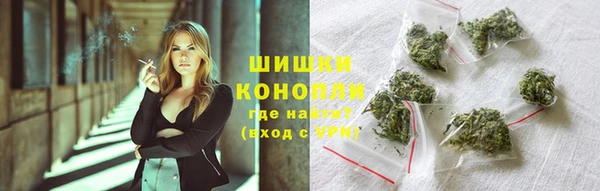 мдпв Гусев
