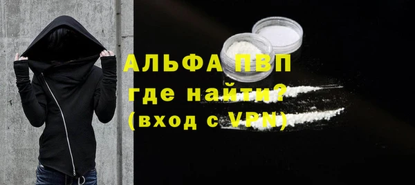 мдпв Гусев