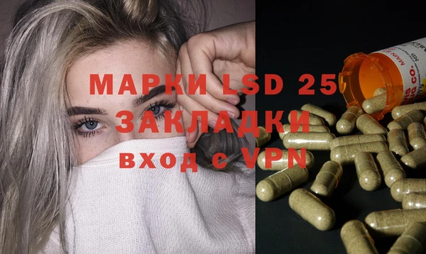 мдпв Гусев