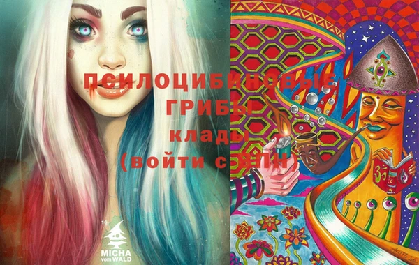 мдпв Гусев