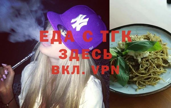 мдпв Гусев